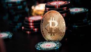 Kaktuz Casino